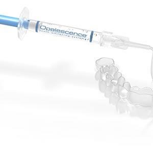 Opalescence Regular Syringe 2 Pack (16% HP)